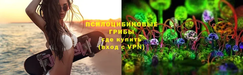 hydra ТОР  Салават  Псилоцибиновые грибы мицелий 